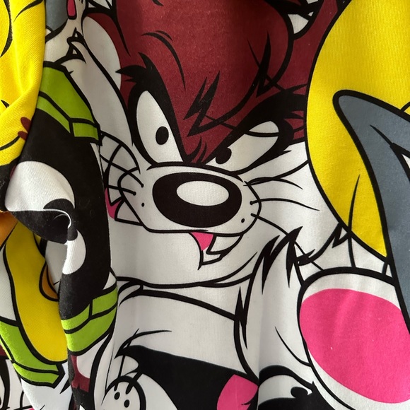 Women’s Looney Tunes Multi-Colored Activewear Pullover Fleece Hoodie, Size L. - Picture 5 of 14